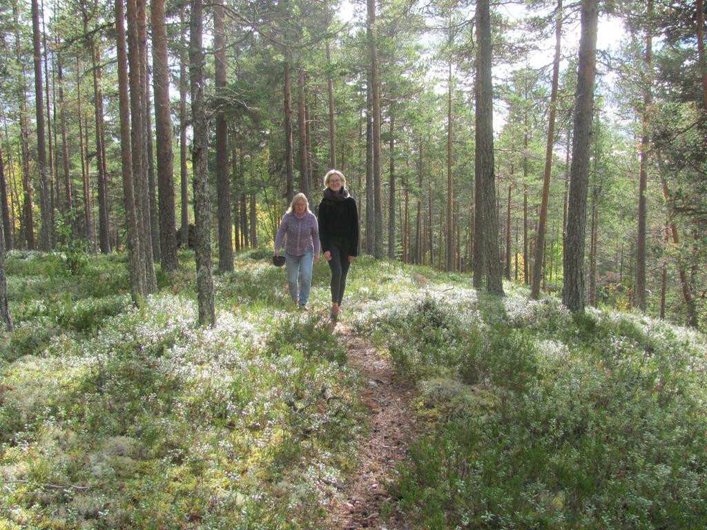 Pensjonat Ellis Garden Vemhån Zewnętrze zdjęcie
