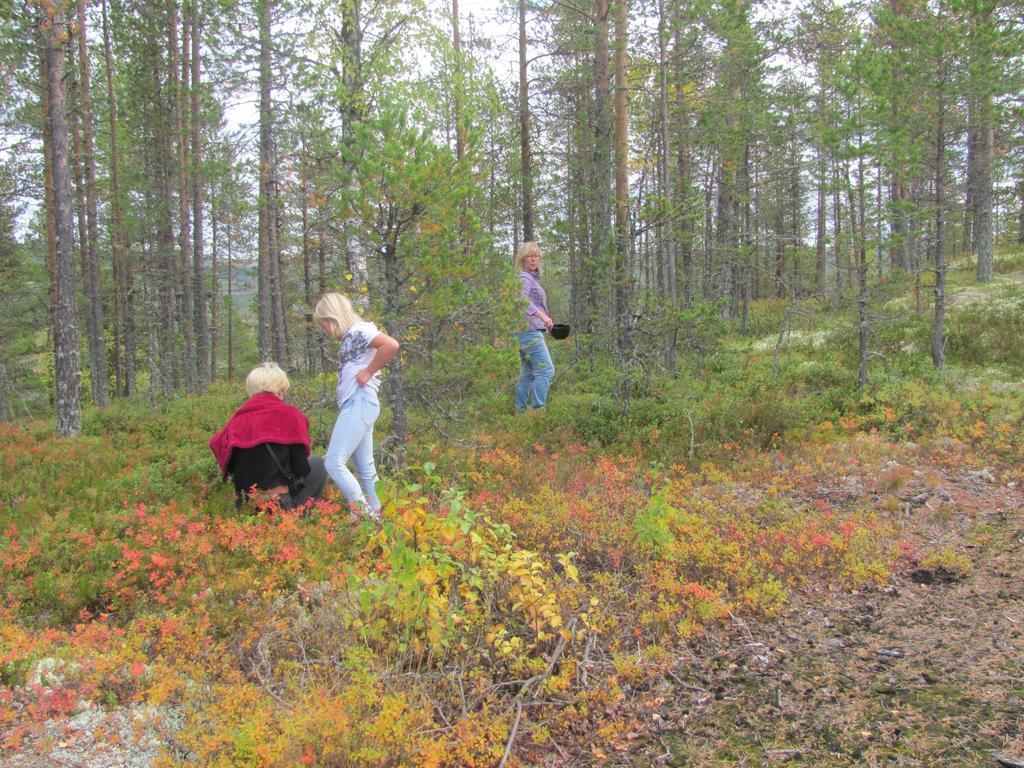 Pensjonat Ellis Garden Vemhån Zewnętrze zdjęcie
