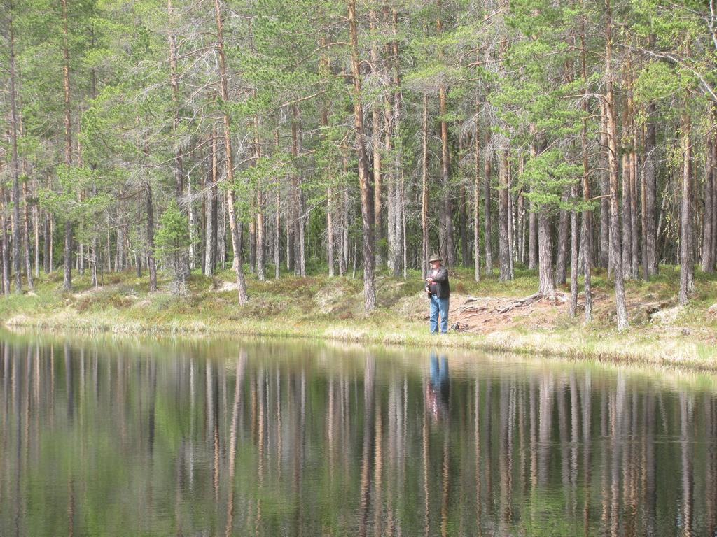 Pensjonat Ellis Garden Vemhån Zewnętrze zdjęcie
