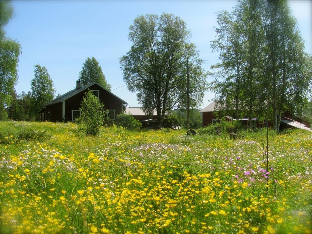 Pensjonat Ellis Garden Vemhån Zewnętrze zdjęcie